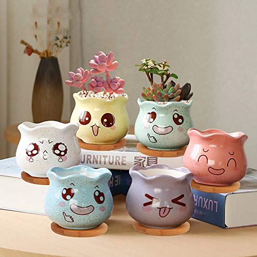 Ufrount Ceramic Succulent Planter Pot with Drainage,Cartoon Expres...