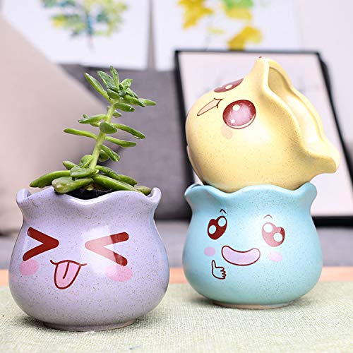 Ufrount Ceramic Succulent Planter Pot with Drainage,Cartoon Expres...