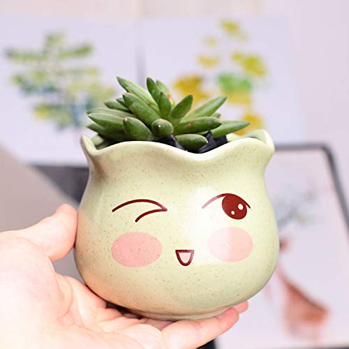 Ufrount Ceramic Succulent Planter Pot with Drainage,Cartoon Expres...