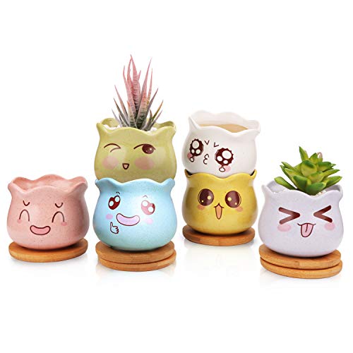 Ufrount Ceramic Succulent Planter Pot with Drainage,Cartoon Expres...