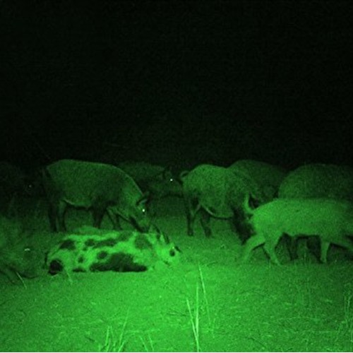 Ulako Single 1 Mode Zoomable LED 150 Yard Green Light Flashlight T...