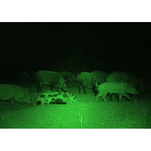 Ulako Single 1 Mode Zoomable LED 150 Yard Green Light Flashlight T...