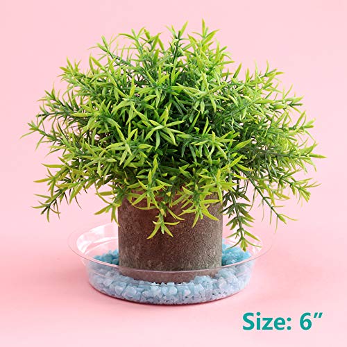 UltraOutlet 20 Pack 6 Inches Clear Plastic Plant Saucer Drip Trays...