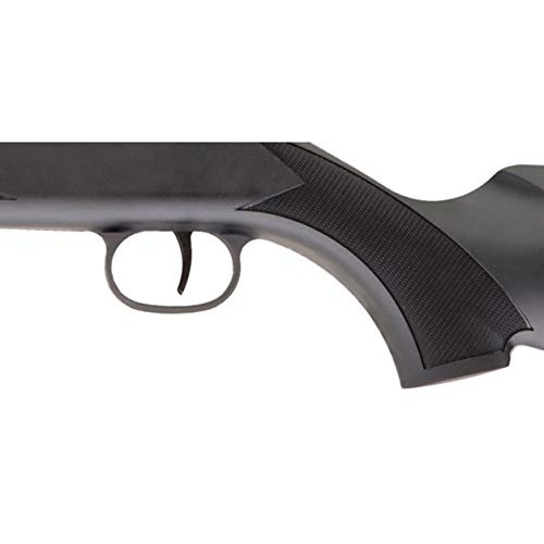 Ruger Blackhawk Combo air rifle