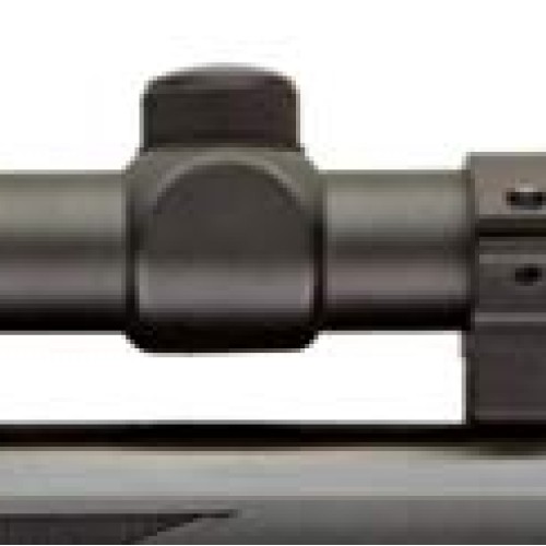 Ruger Blackhawk Combo air rifle