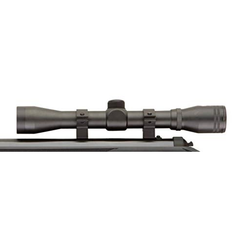 Ruger Blackhawk Combo air rifle