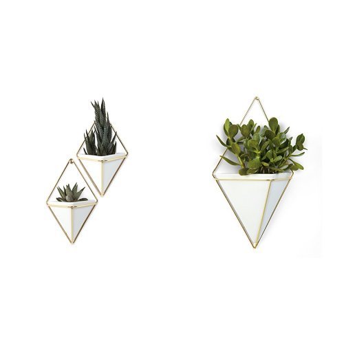 Umbra Trigg Hanging Planter Vase & Geometric Wall Decor Container ...