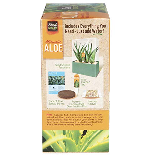 Unique Gardener Grow Your Own Aloe Plant - Fun and Easy to Grow Al...