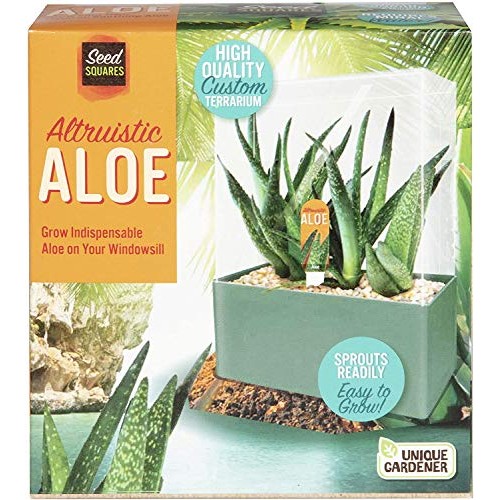 Unique Gardener Grow Your Own Aloe Plant - Fun and Easy to Grow Al...