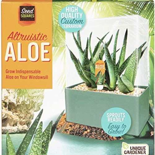 Unique Gardener Grow Your Own Aloe Plant - Fun and Easy to Grow Al...