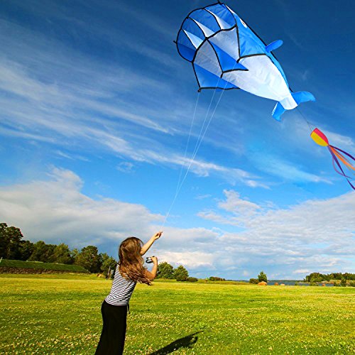 Image 3D Kite Large Blue Dolphin Breeze Beach Kites with Huge Fram...