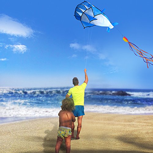 Image 3D Kite Large Blue Dolphin Breeze Beach Kites with Huge Fram...
