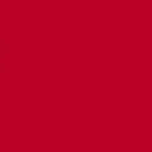 Red Matte Tricot Apparel Swimsuit Spandex Fabric - BTY - 60