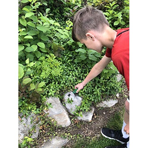 Unplugged Explorers 10 Piece Bug Kit Green