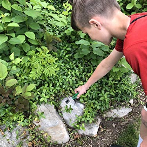 Unplugged Explorers 10 Piece Bug Kit Green