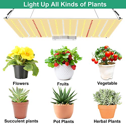 600W Led Grow Light with Samsung Diode UV IR Included, 2x2ft Cover...