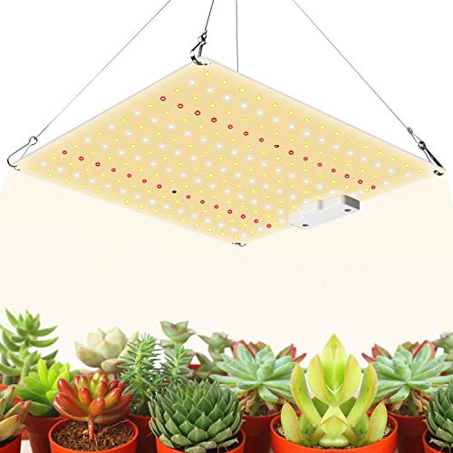 600W Led Grow Light with Samsung Diode UV IR Included, 2x2ft Cover...
