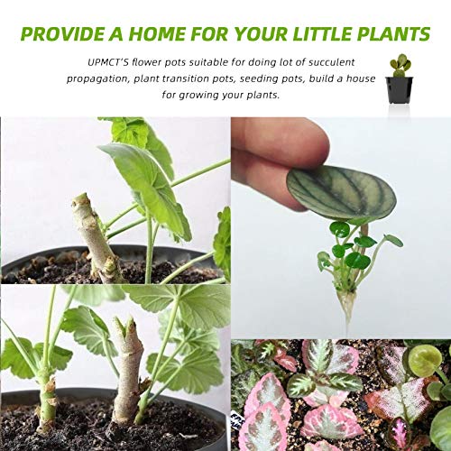 UPMCT 50 Pack Nursery Pots, 4 5 6 Inch Plants Flower Pots Durable ...