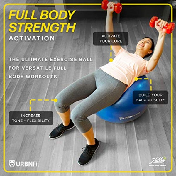 URBNFit Exercise Ball 65 cm for Stability & Yoga - Workout Guide...