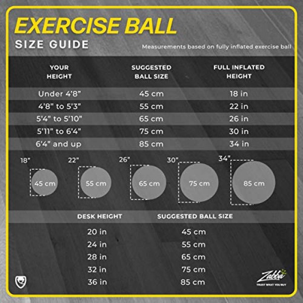 URBNFit Exercise Ball 65 cm for Stability & Yoga - Workout Guide...