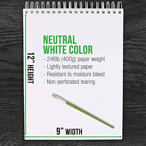 U.S. Art Supply 9 x 12 Premium Extra Heavy-Weight Acrylic Painti...