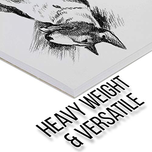 US Art Supply 9 in. x 12 in. Premium Heavy-Weight Charcoal Paper P...