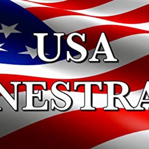 USA Pine Straw - Premium Pine Needle Mulch - Covers 160 Sqft