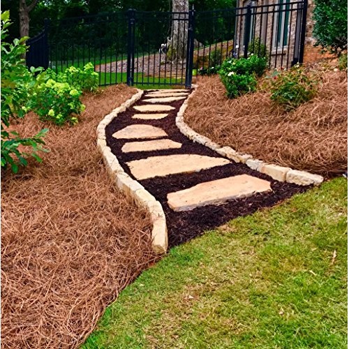 USA Pine Straw - Premium Pine Needle Mulch - Covers 160 Sqft