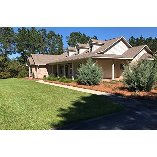 USA Pine Straw - Premium Pine Needle Mulch - Covers 160 Sqft