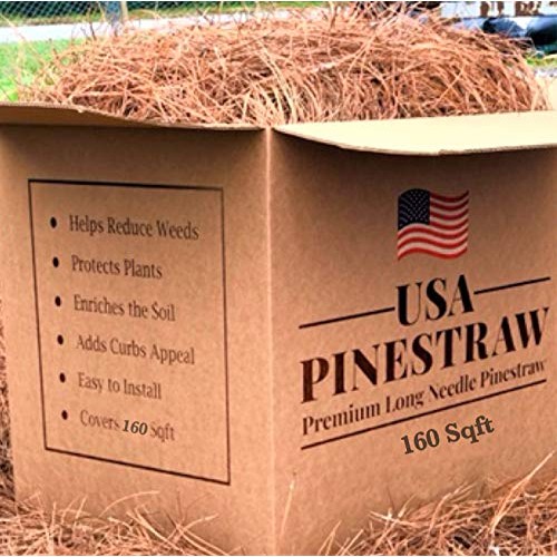 USA Pine Straw - Premium Pine Needle Mulch - Covers 160 Sqft