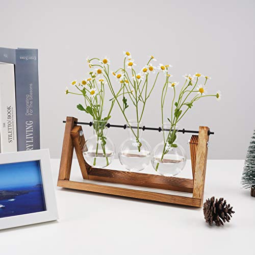UWIOFF Propagation Stations, Desktop Glass Planter Bulb Vase Air P...