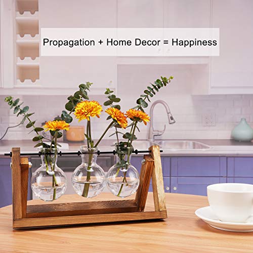 UWIOFF Propagation Stations, Desktop Glass Planter Bulb Vase Air P...