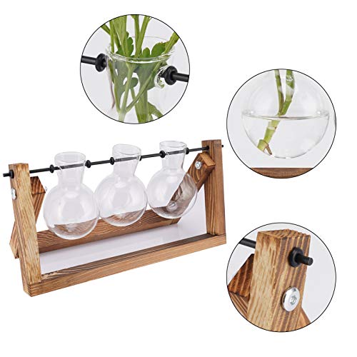 UWIOFF Propagation Stations, Desktop Glass Planter Bulb Vase Air P...