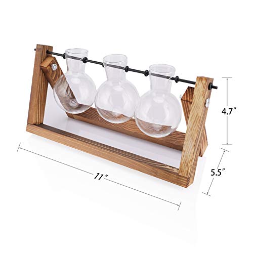 UWIOFF Propagation Stations, Desktop Glass Planter Bulb Vase Air P...
