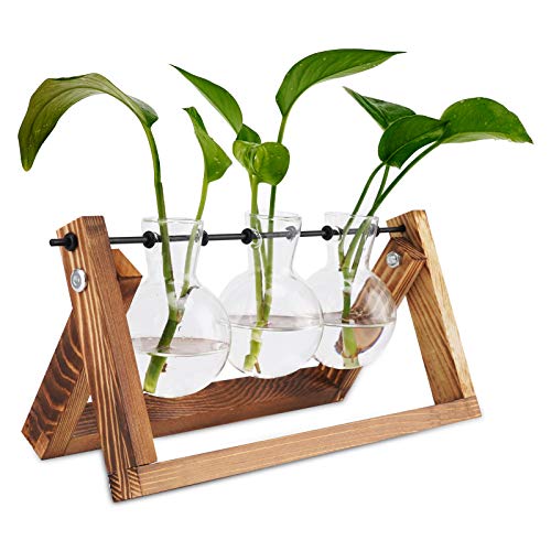 UWIOFF Propagation Stations, Desktop Glass Planter Bulb Vase Air P...