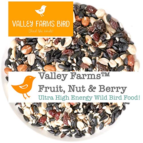 Valley Farms Fruit Nut & Berry Wild Bird Food - High Energy Outdoo...