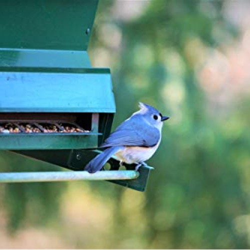 Valley Farms Fruit Nut & Berry Wild Bird Food - High Energy Outdoo...