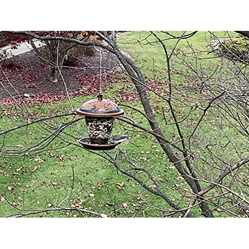 Valley Farms Fruit Nut & Berry Wild Bird Food - High Energy Outdoo...