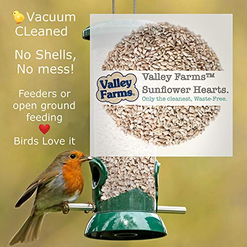 Valley Farms Sunflower Hearts Wild Bird Food - 15 lbs