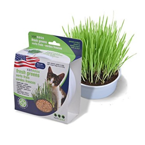 Van Ness Oat Garden Kit, 1-Ounce