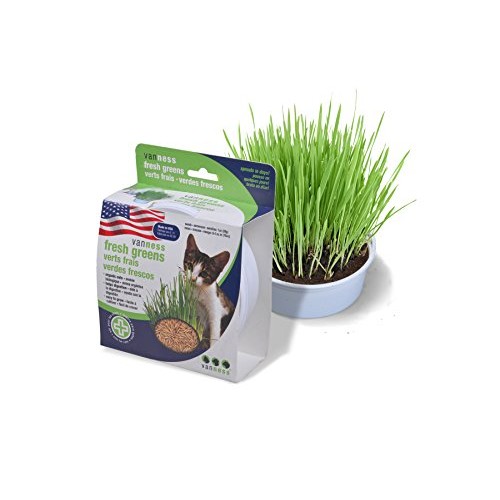 Van Ness Oat Garden Kit, 1-Ounce