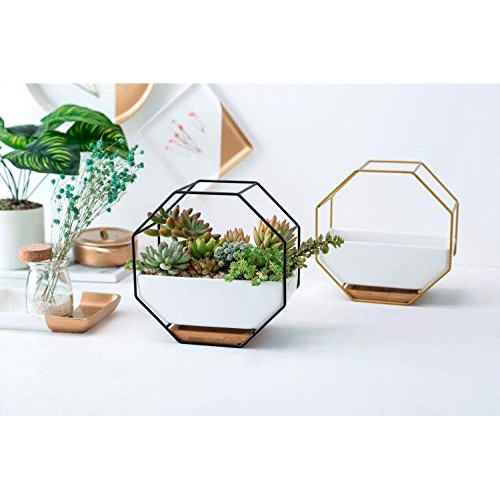 VanEnjoy 7 White Ceramic Wall Planters Vase and Copper,Drainage H...