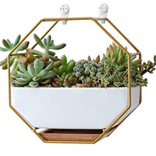 VanEnjoy 7 White Ceramic Wall Planters Vase and Copper,Drainage H...