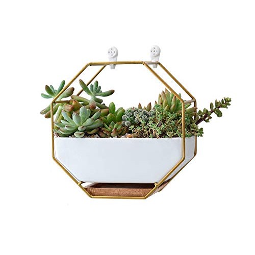VanEnjoy 7 White Ceramic Wall Planters Vase and Copper,Drainage H...