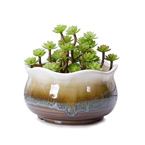 VanEnjoy Large Ceramic Succulent Pot, Multicolor Colorful Flowing ...