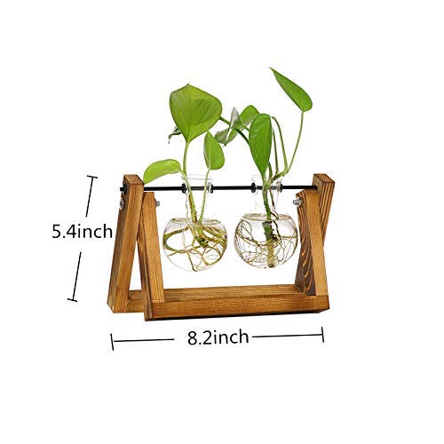 Vanze Desktop Hydroponic Plant Terrarium Planter Bulb Glass Vase P...