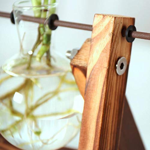 Vanze Desktop Hydroponic Plant Terrarium Planter Bulb Glass Vase P...