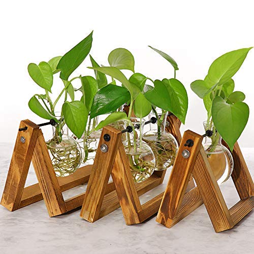 Vanze Desktop Hydroponic Plant Terrarium Planter Bulb Glass Vase P...