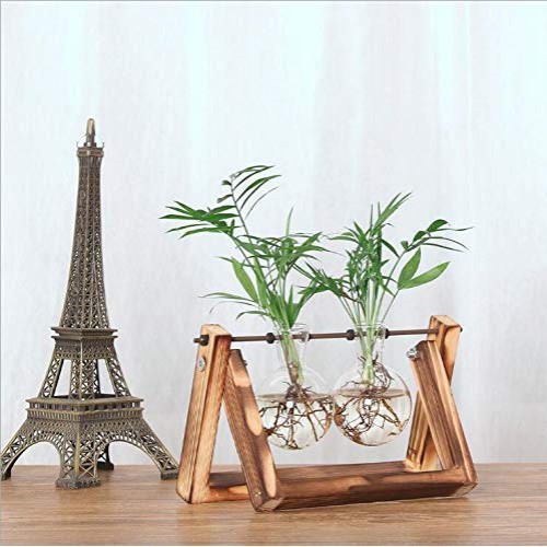 Vanze Desktop Hydroponic Plant Terrarium Planter Bulb Glass Vase P...