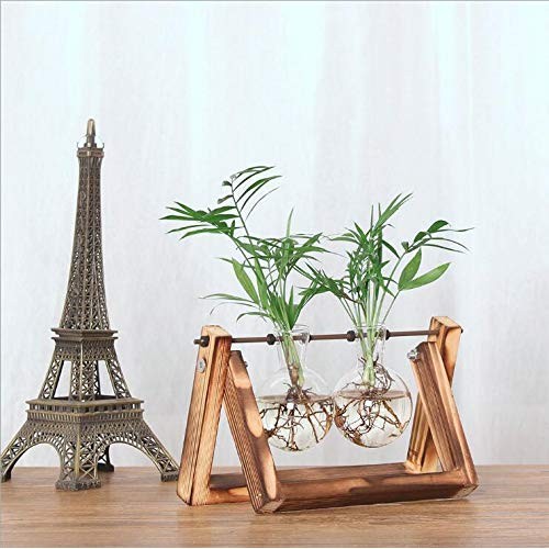 Vanze Desktop Hydroponic Plant Terrarium Planter Bulb Glass Vase P...